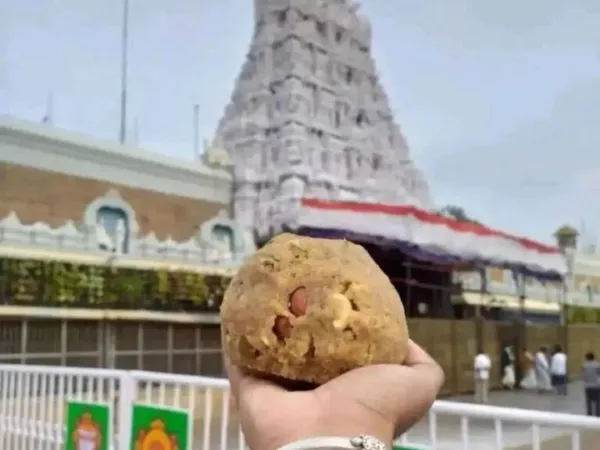 New Turn in Tirumala Laddoo Case