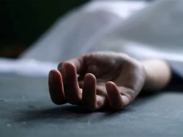 Techie Commits Suicide Due to Wife's Harassment