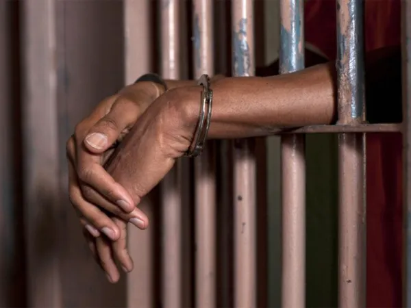 Wife's Shocking Murder Plot: Whole Family Targeted