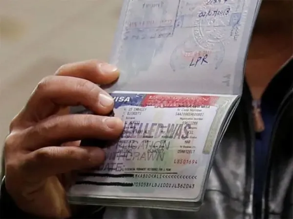 H1 Husband Flees Country, H4 Wife Left Hanging