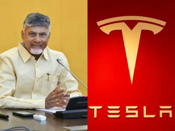CBN Govt Readies Land Options for Tesla