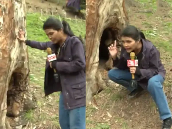 Pahalgam: Terrorists in Trees? TV Anchor Trolled