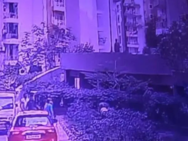 Viral Video: Dog Pushes Woman Off Building