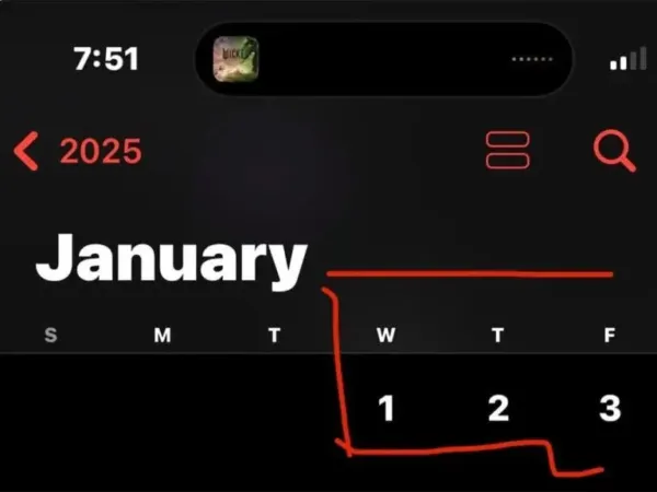 Panic Alert: 2025 Kicks Off with "What the F**K"