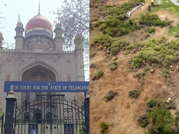 Kancha Gachibowli - HC Extends Halt to Tree Felling