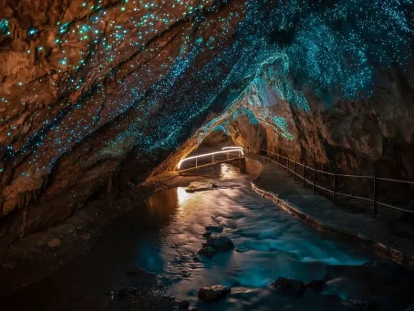 The Mystery Of The Shimmering Waitomo Glowworm Caves In New Zealand