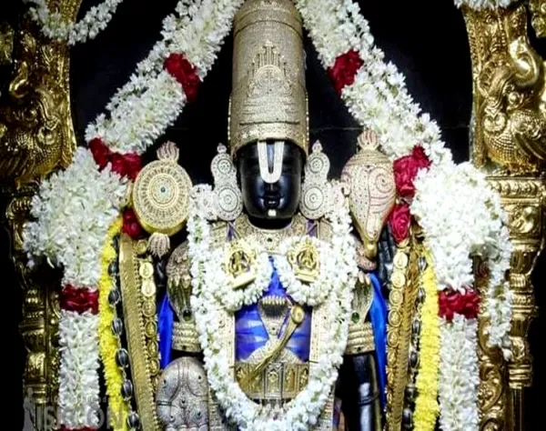 శ్రీవారి ఆలయంలో పోటెత్తిన టీవీకే కార్యకర్తలు.. వారి మొక్కులు ఫలించాయిగా..