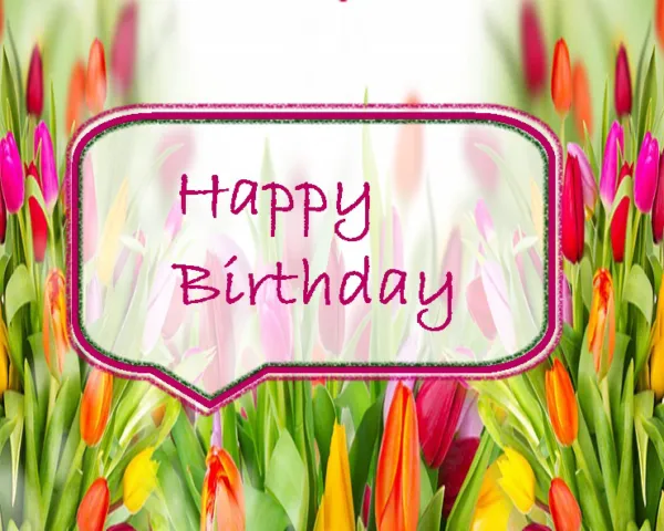 Today's Birthday: 1st May 2026