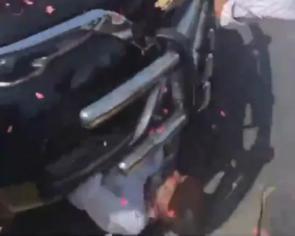 Supporter crushed to death while showering flowers on YSRCP chief Jagan Mohan Reddy's vehicle, VIDEO goes viral