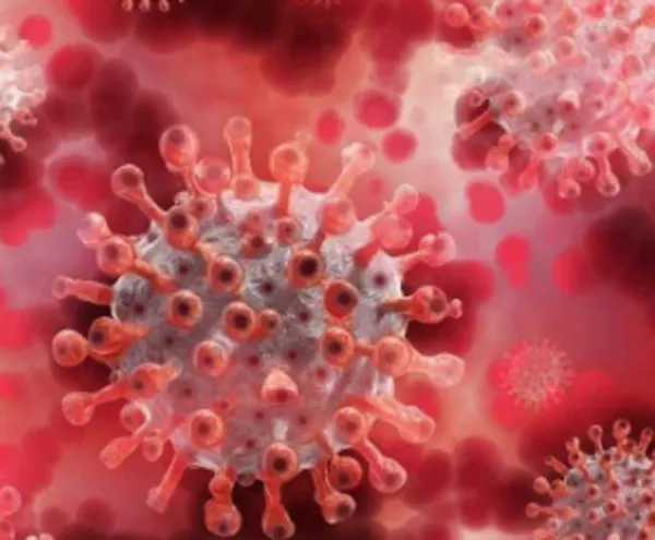 హైదరాబాద్లో కరోనా కట్టడికి జీహెచ్ఎంసీ యాక్షన్ ప్లాన్