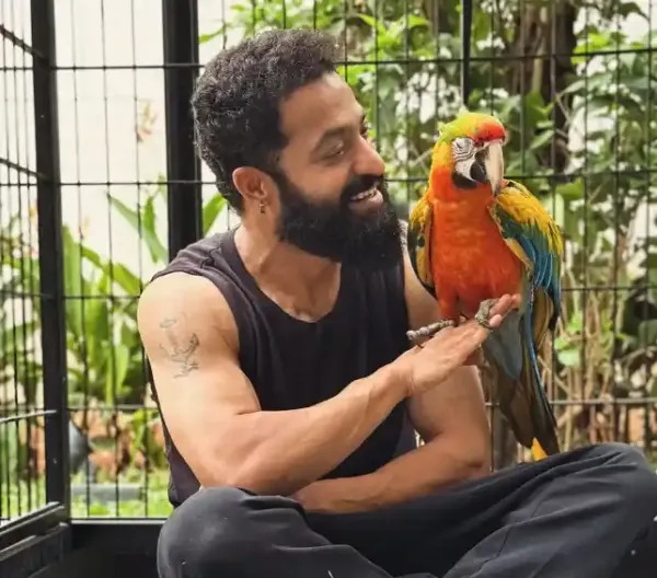 బర్త్డే స్పెషల్.. ఫొటో పంచుకున్న ఎన్టీఆర్
