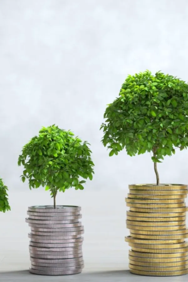 How To Invest In Mutual Funds in 2024?