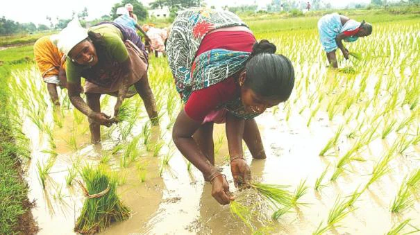 தமிழ்நாடு பட்ஜெட் 2023 எதிர்பார்ப்புகள் | மகளிர் மேம்பாடும் அரசின் திட்டங்களும்