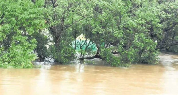 ಎಡೆ ಬಿಡದೆ ಸುರಿದ ಮಳೆ; ಗಡಿ ಭಾಗದಲ್ಲಿ ಉಕ್ಕಿ ಹರಿಯುತ್ತಿವೆ ನದಿಗಳು