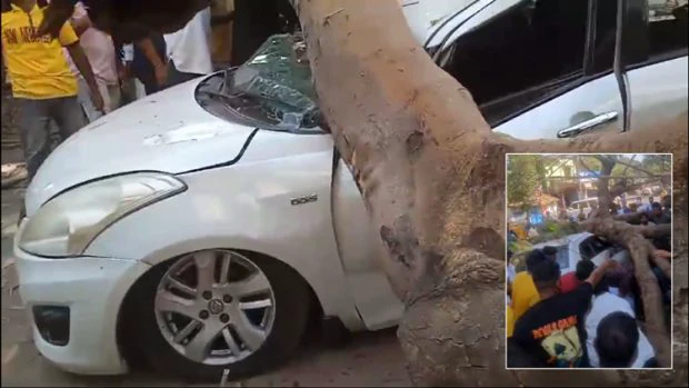 Dandeli: ಧರೆಗುರುಳಿದ ಮರ. 2 ಕಾರುಗಳು ಜಖಂ, ಬೈಕ್ ಸವಾರನ ಸ್ಥಿತಿ ಗಂಭೀರ