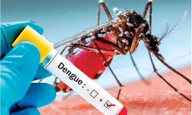 Danger Dengue: ರಾಜ್ಯದ 435 ಮಂದಿಯಲ್ಲಿ ಡೆಂಗ್ಯೂ ದೃಢ,  ಒಟ್ಟು ಪ್ರಕರಣ 9,962ಕ್ಕೆ ಏರಿಕೆ
