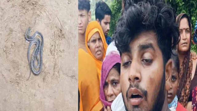 Viral News: ಭಯ ಹುಟ್ಟಿಸಿದ ನಾಗ-ನಾಗಿಣಿ ಕಥೆ: ಗಂಡನನ್ನು ಹಿಂಬಾಲಿಸಿದ ಹಾವನ್ನು ಕೊಂದ ಹೆಂಡತಿ, ಮತ್ತೊಂದು ಹಾವು ಪ್ರತ್ಯಕ್ಷ