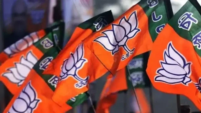 'अगर ऐसा हुआ तो, 2029 में 150 सीटों पर सिमट जाएगी BJP', इस भाजपा संसद को सताने लगा डर....