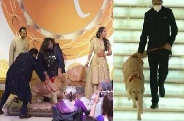 अंबानी परिवार पर टूटा दुखों का पहाड़, अनंत के सबसे प्यारे साथी ने दुनिया को कहा अलविदा, लिखा Emotional Note