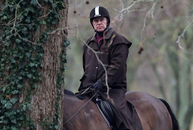 সরকারি পদে অসদাচরণের অভিযোগ: লন্ডনে গ্রেপ্তার ব্রিটিশ রাজার ভাই অ্যান্ড্রু