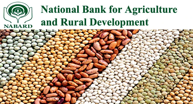 NABARD Recruitment 2024 Notification: నేషనల్‌ అగ్రికల్చర్‌ అండ్‌ రూరల్‌ డెవలప్‌మెంట్‌ బ్యాంకులో ఉద్యోగాలు.. చివరి తేదీ ఇదే
