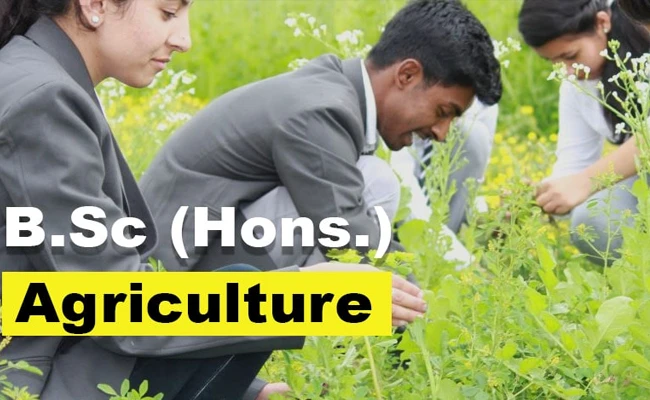 B Sc Agriculture Courses : తెలంగాణ బీసీ సంక్షేమ గురుకులాల్లో అగ్రి బీఎస్సీ కోర్సులో ప్రవేశాలు.. దరఖాస్తులు..