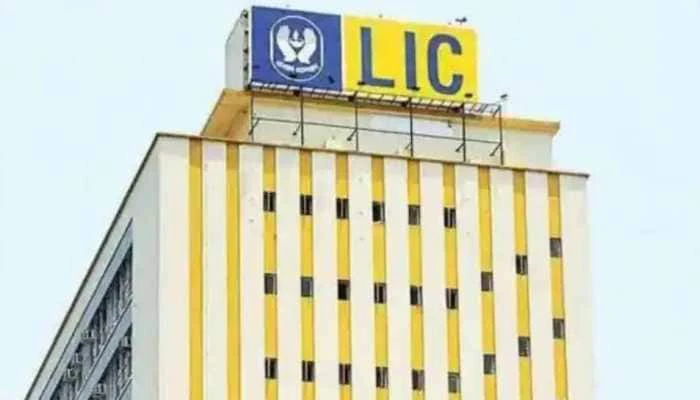LIC investors lose more despite markets making big gains: Why is stock falling and what to do now?