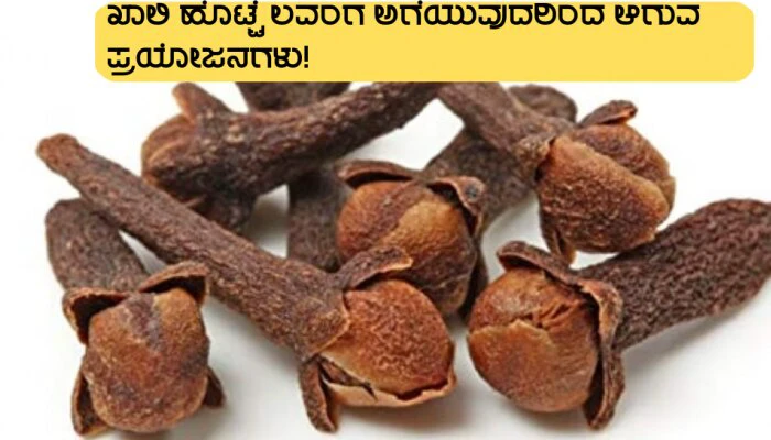 ಬೆಳಗ್ಗೆ ಖಾಲಿ ಹೊಟ್ಟೆ ಲವಂಗ ಸೇವನೆಯ ಈ ಲಾಭಗಳು ನಿಮಗೆ ತಿಳಿದಿವೆಯಾ?