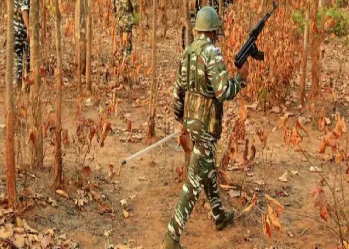 छत्तीसगढ़ के दंतेवाड़ा में हुई मुठभेड़ में एक महिला नक्सली समेत दो नक्सली ढेर