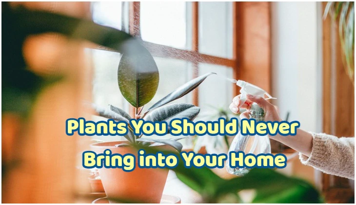 Vastu Tips For May 24: Never keep these plants inside your home