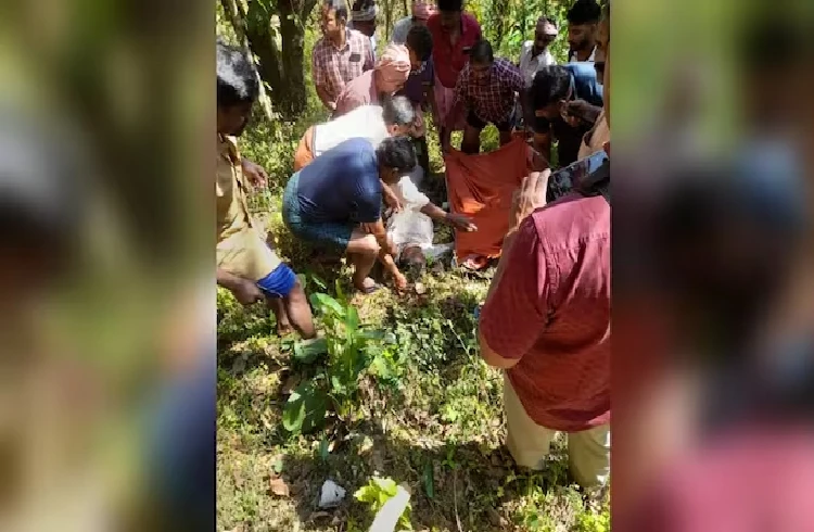 ಕೇರಳದ ವಯನಾಡಿನಲ್ಲಿ ಹುಲಿ ದಾಳಿಗೆ 52 ವರ್ಷದ ರೈತ ಬಲಿ