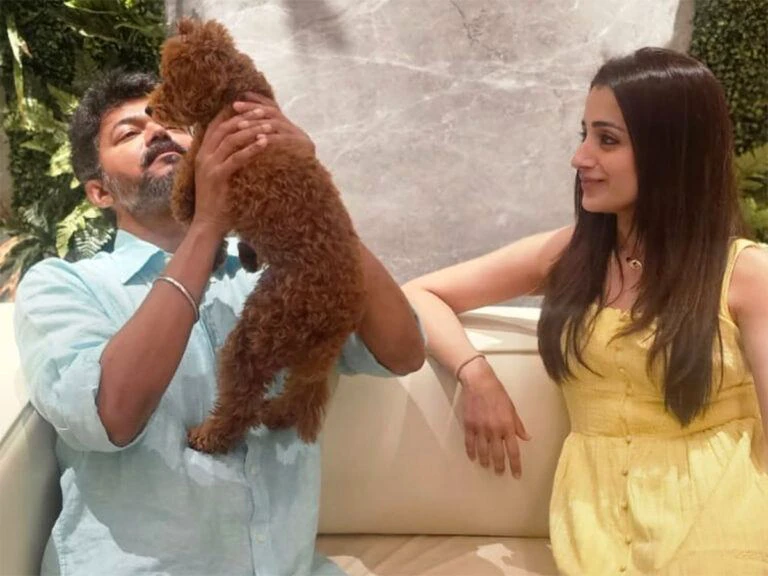 One Pic, Thousand Theories: Trisha & Vijay Dating?