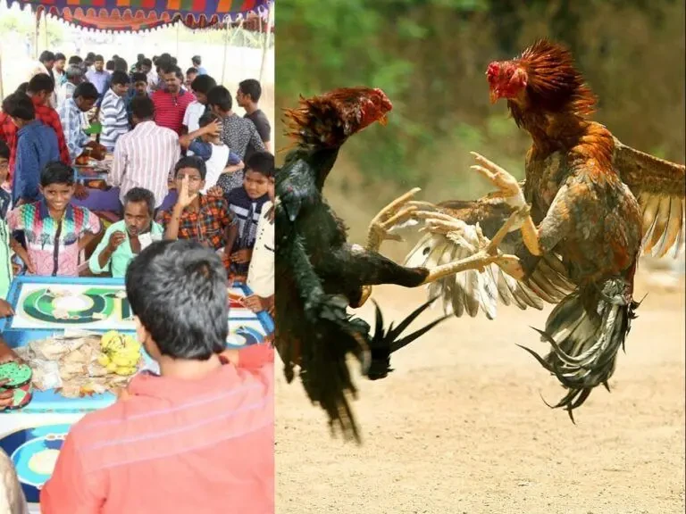 Blue Media Missing Sankranthi Casinos!