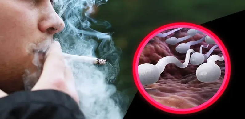 सावधान क्या धूम्रपान छीन रहा है पुरुषों से पिता बनने का सुख