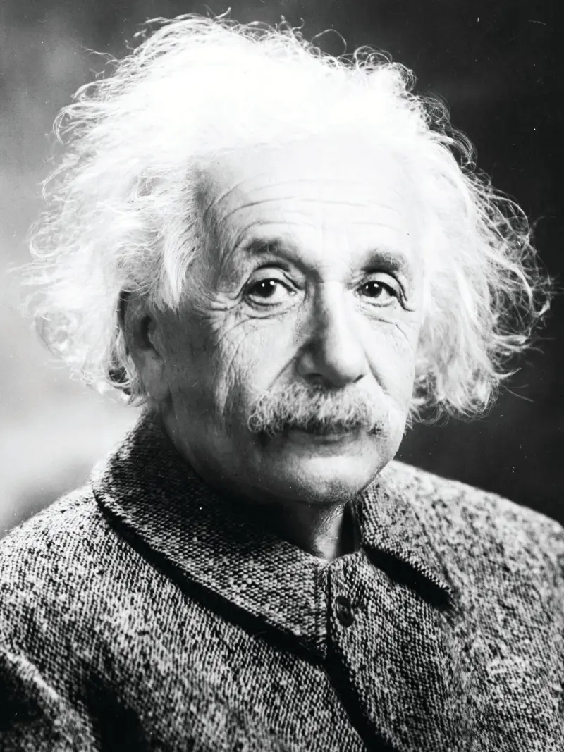 Albert Einstein : भौतिकशास्त्रज्ञ अल्बर्ट आइनस्टाईन