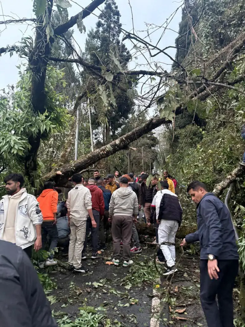 Storm lashes Sikkim: Woman killed, eight injured