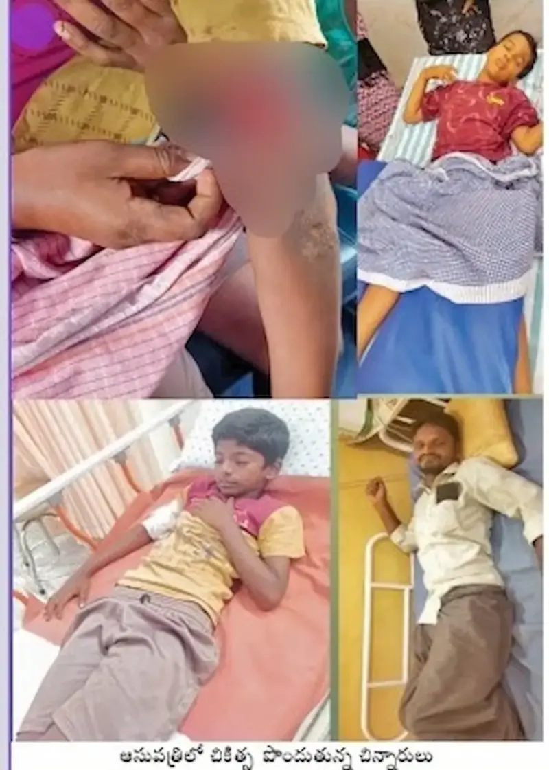 అడవి పంది దాడి.. ముగ్గురికి గాయాలు