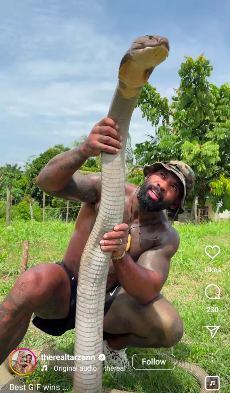 कोब्रा हातात उचलणाऱ्या व्यक्तीचा व्हिडिओ सोशल मीडियावर व्हायरल!