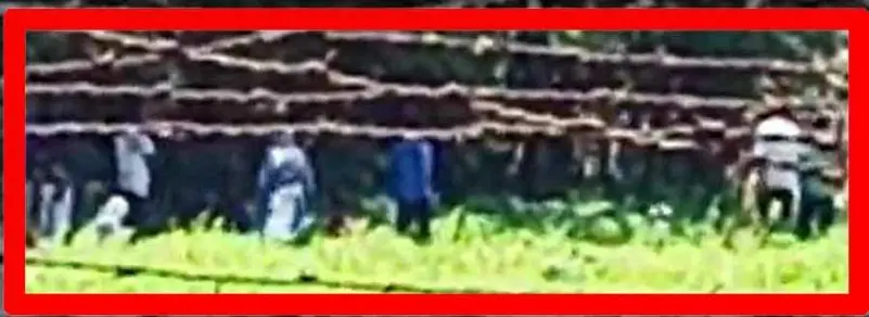 بنگلہ دیش کی سرحد پر باڑ لگانے کے لیے زمین بی ایس ایف کے حوالے کرنے کی حکمت عملی تیار