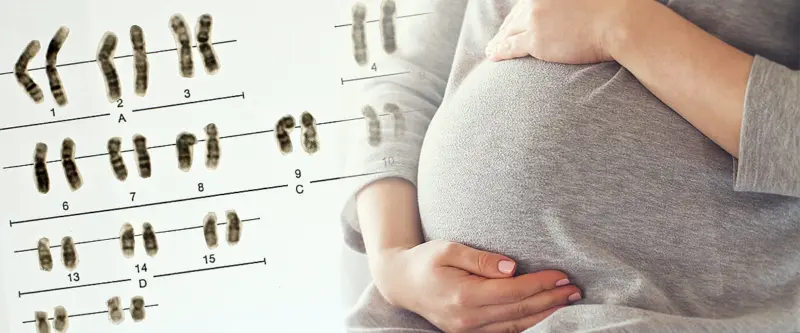 Chromosome changes linked to pregnancy loss: Study