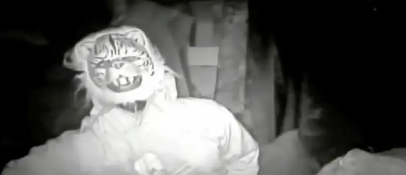 సింహం ముసుగులో కిరాణా షాపులో దొంగతనం