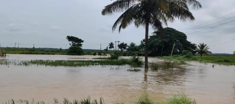 ಹೈರಾಣ ಮಾಡಿದ 'ಲಾ ನಿನಾ'!