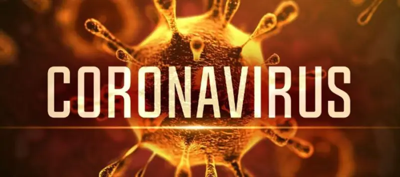 కరోనా మరణాలు పెరిగే అవకాశాలు...!