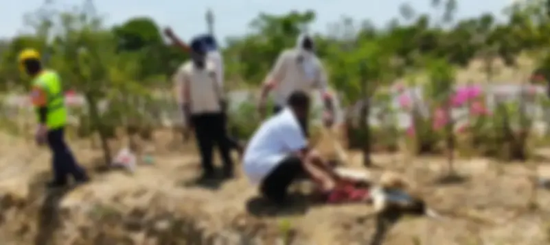 రోడ్డు ప్రమాదంలో జింక మృతి