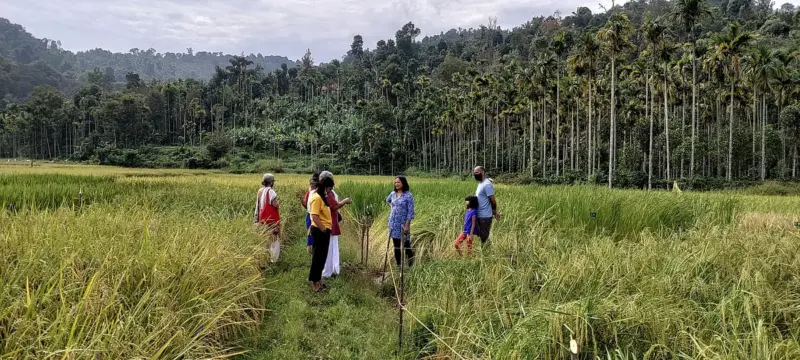 How Wayanad's climate calendar is rewriting farming futures