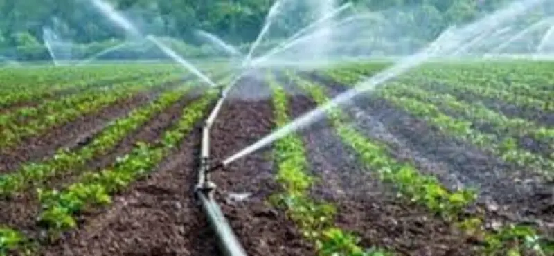 ಹನಿ ನೀರಾವರಿ ಸಹಾಯಧನಕ್ಕೆ ಅರ್ಜಿ ಆಹ್ವಾನ