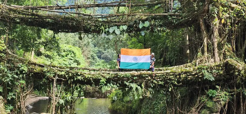 India submits nomination dossier on Meghalaya's living root bridges for UNESCO World Heritage tag