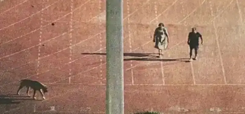 Controversial IAS Officer Who Emptied Stadium for Dog Walk Returns to Delhi as MCD Commissioner!