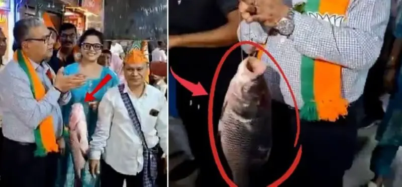 "ক্ষমতায় এলে মানুষ দ্বিগুণ মাছ খাবে!"-প্রচারের মাঝে ভোট-বাজারে 'মাছ-কূটনীতি' নিয়ে শোরগোল