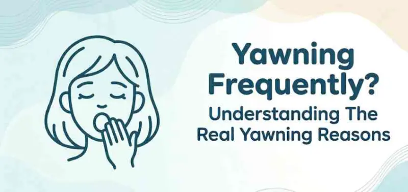 Yawning Frequently? Understanding The Real Yawning Reasons